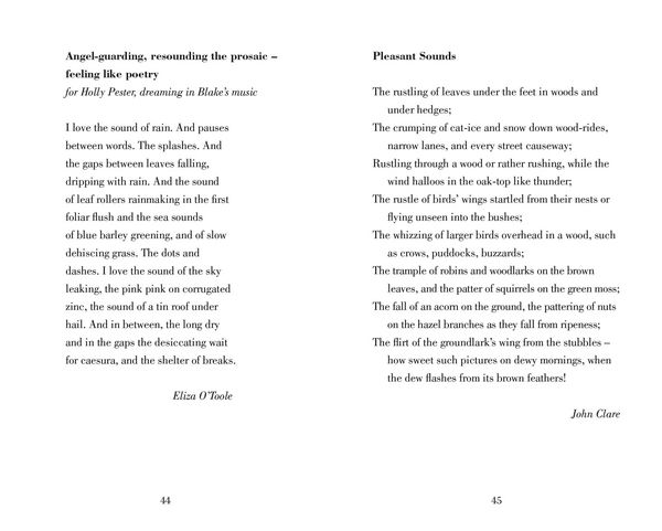 Produktbild: Poetry Prescription: Joy