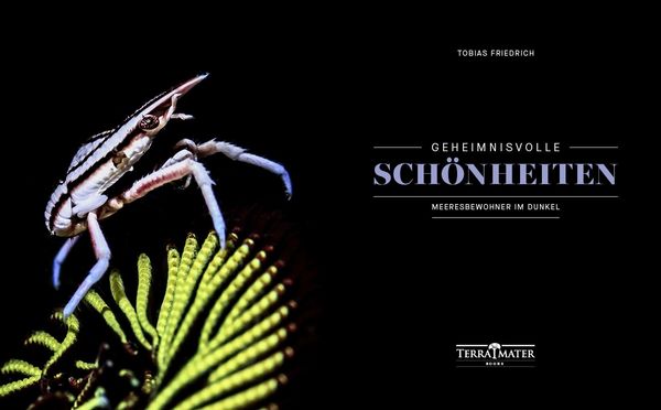 Produktbild: Geheimnisvolle Sch&ouml;nheiten