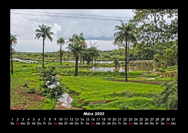 Produktbild: Palmentraum 2025 Fotokalender DIN A3