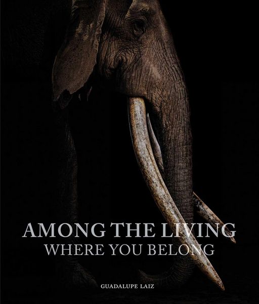 Produktbild: Among the Living