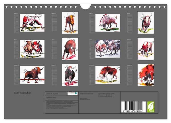 Produktbild: Sternbild Stier (Wandkalender 2026 DIN A4 quer), CALVENDO Monatskalender