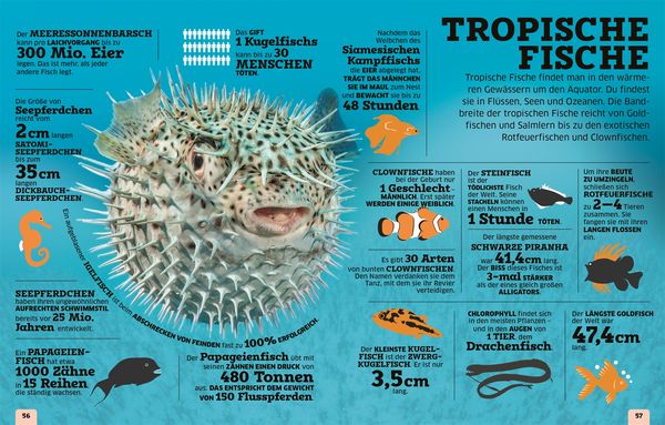Produktbild: Unsere Welt in Zahlen. Tiere