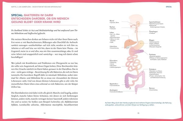 Produktbild: Das hilft bei Leaky Gut - Wie ein durchlässiger Darm uns krank macht und was wir dagegen tun können. Alles über Reizdarm & Co.