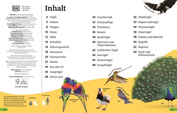 Produktbild: Superchecker! V&ouml;gel