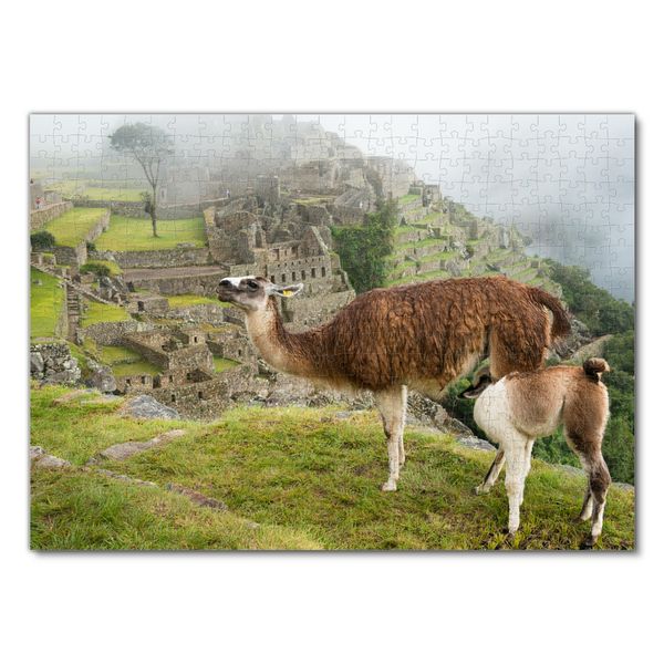 Produktbild: Lais Puzzle Trinkendes Lama bei Machu Picchu 500 Teile