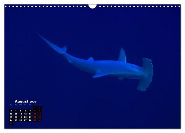 Produktbild: Magical Underwater World (Wall Calendar 2026 DIN A3 landscape), CALVENDO 12 Month Wall Calendar