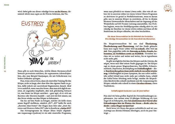 Produktbild: Frei von Stress durch die Heilung der Mitte