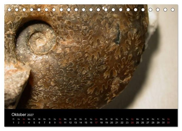 Produktbild: Fossilien - Zeugen der Urzeit (Tischkalender 2027 DIN A5 quer), CALVENDO Monatskalender
