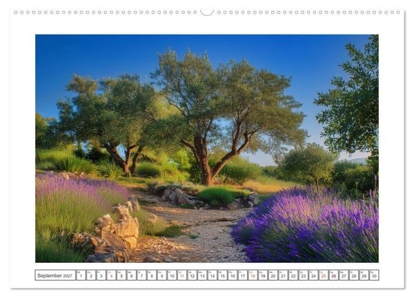Produktbild: Die Magie der Olivenhaine (Wandkalender 2027 DIN A2 quer), CALVENDO Monatskalender