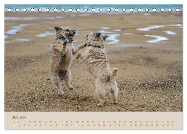 Produktbild: Cairns Forever (Tischkalender 2026 DIN A5 quer), CALVENDO Monatskalender