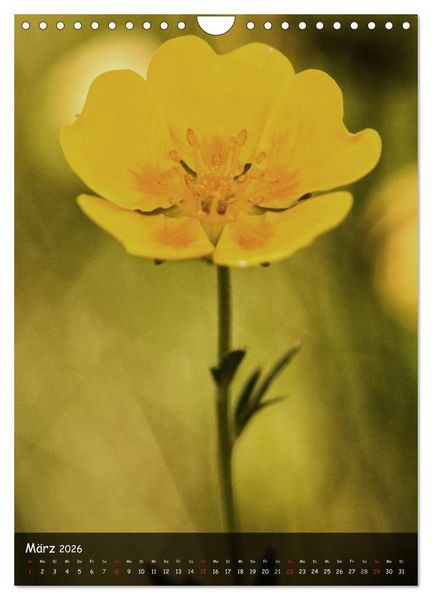 Produktbild: Alpenblumen 2026 (Wandkalender 2026 DIN A4 hoch), CALVENDO Monatskalender