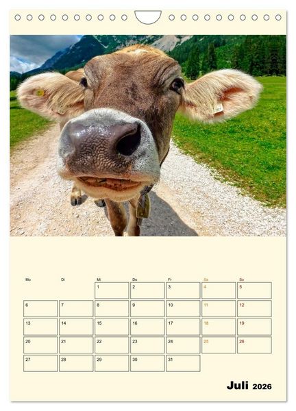 Produktbild: Gl&uuml;ckliche Bergk&uuml;he (Wandkalender 2026 DIN A4 hoch), CALVENDO Monatskalender
