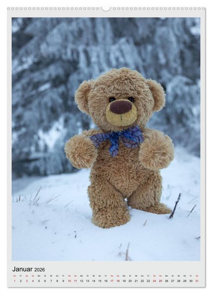Produktbild: Travelling Teddy in Europa (hochwertiger Premium Wandkalender 2026 DIN A2 hoch), Kunstdruck in Hochglanz
