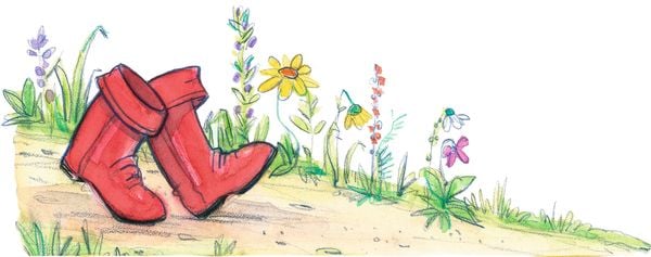Produktbild: Prinzessin Lillifee und das verzauberte M&auml;rchenbuch