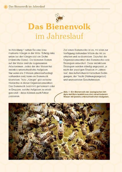 Produktbild: Mit Bienen die Welt retten