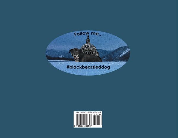 Produktbild: Black Bear Goes to Washington
