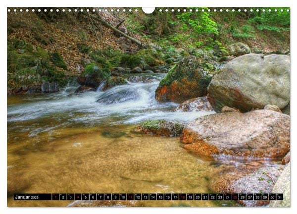 Produktbild: Verzauberter Harz (Wandkalender 2026 DIN A3 quer), CALVENDO Monatskalender