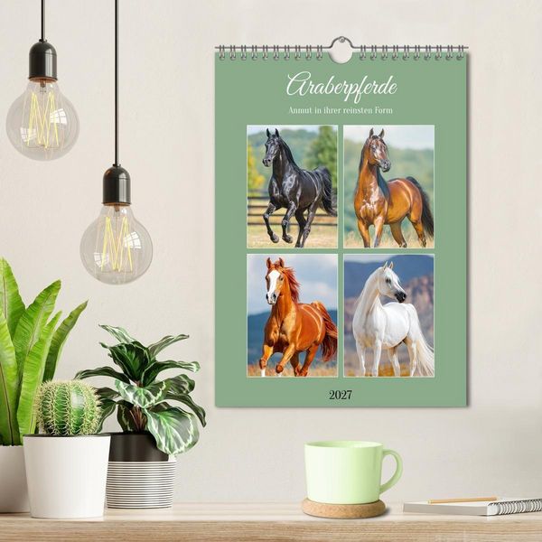 Produktbild: Araberpferde. Anmut in ihrer reinsten Form (Wandkalender 2027 DIN A4 hoch), CALVENDO Monatskalender