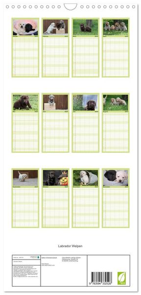 Produktbild: Familienplaner 2027 - Labrador Welpen mit 5 Spalten (Wandkalender, 21 x 45 cm) CALVENDO