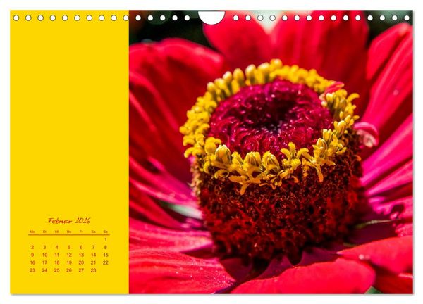 Produktbild: Bl&uuml;tenstil (Wandkalender 2026 DIN A4 quer), CALVENDO Monatskalender