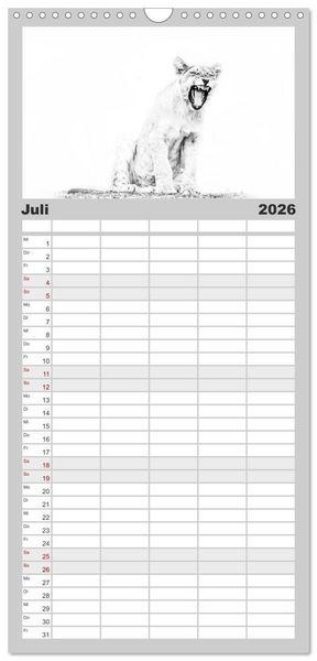 Produktbild: Familienplaner 2026 - AFRIKA - Schwarz-weiss Fotografien im modernen "High Key" Look mit 5 Spalten (Wandkalender, 21 x 45 cm) CALVENDO