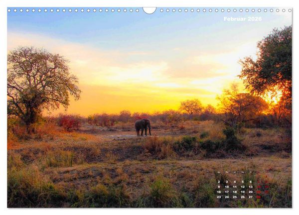 Produktbild: Faszinierende Tierwelt des Kruger National Parks (Wandkalender 2026 DIN A3 quer), CALVENDO Monatskalender