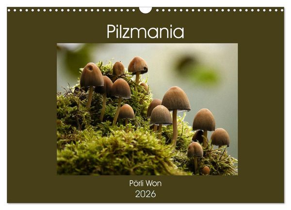 Pilzmania (Wandkalender 2026 DIN A3 quer), CALVENDO Monatskalender