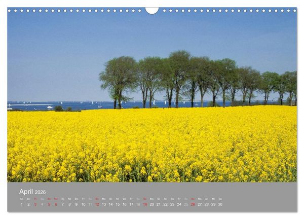 Produktbild: Blick auf die Nord-und Ostsee (Wandkalender 2026 DIN A3 quer), CALVENDO Monatskalender