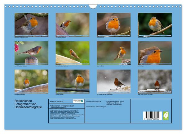 Produktbild: Rotkehlchen - Fotografiert von Ostfriesenfotografie (Wandkalender 2026 DIN A3 quer), CALVENDO Monatskalender