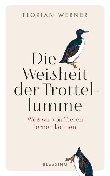 Produktbild: Die Weisheit der Trottellumme