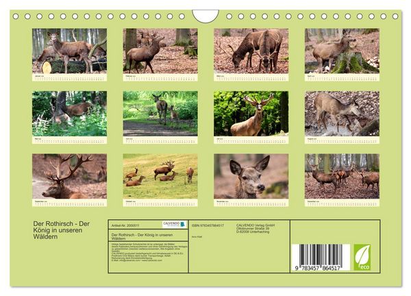 Produktbild: Der Rothirsch - Der K&ouml;nig in unseren W&auml;ldern (Wandkalender 2026 DIN A4 quer), CALVENDO Monatskalender