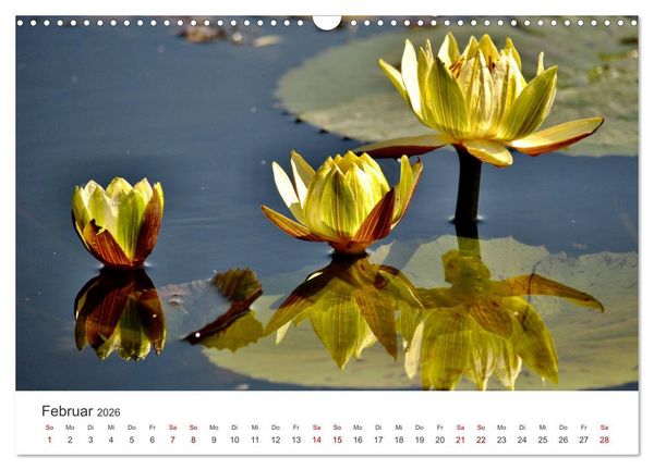 Produktbild: Botswana - Eine spannende Reise in ein wundersch&ouml;nes Land. (Wandkalender 2026 DIN A3 quer), CALVENDO Monatskalender