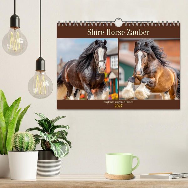 Produktbild: Shire Horse Zauber. Englands elegante Riesen (Wandkalender 2027 DIN A4 quer), CALVENDO Monatskalender
