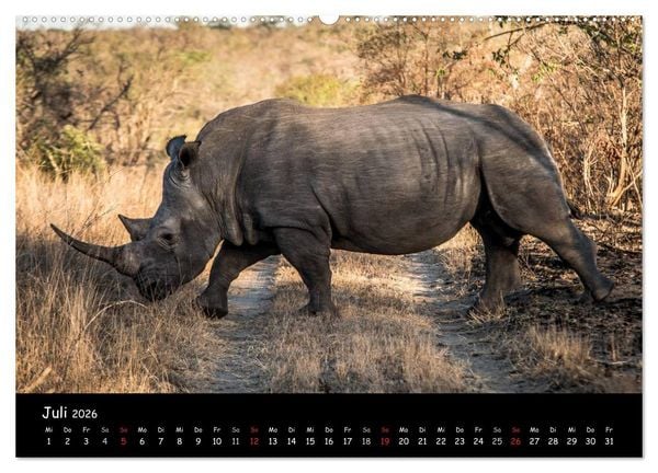 Produktbild: Tier-Momente in Afrika (hochwertiger Premium Wandkalender 2026 DIN A2 quer), Kunstdruck in Hochglanz
