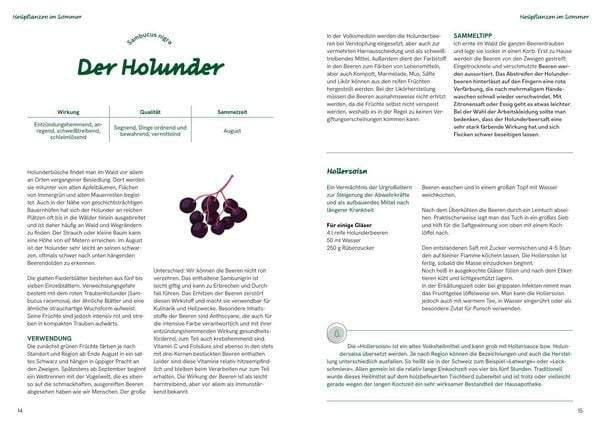 Produktbild: Die gro&szlig;e Waldapotheke