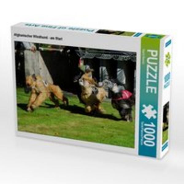 CALVENDO Puzzle Afghanischer Windhund - am Start | 1000 Teile Lege-Größe 64x48cm Foto-Puzzle für glückliche Stunden