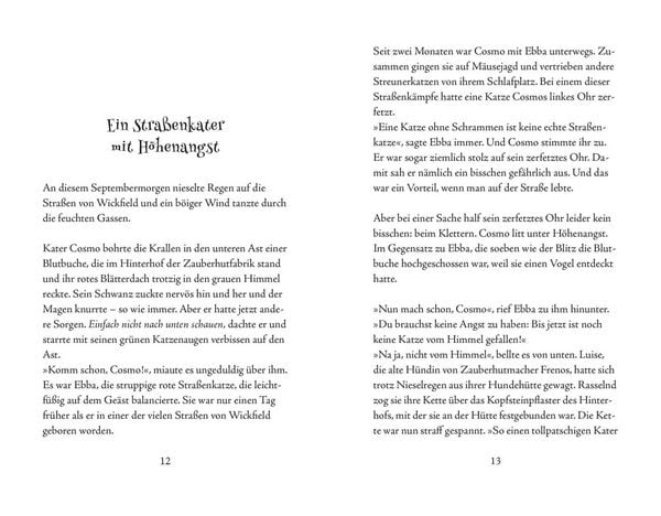 Produktbild: Cosmo Zauberkater 1: Der Fluch der magischen Pfote