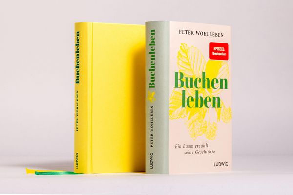 Produktbild: Sonderedition: Buchenleben