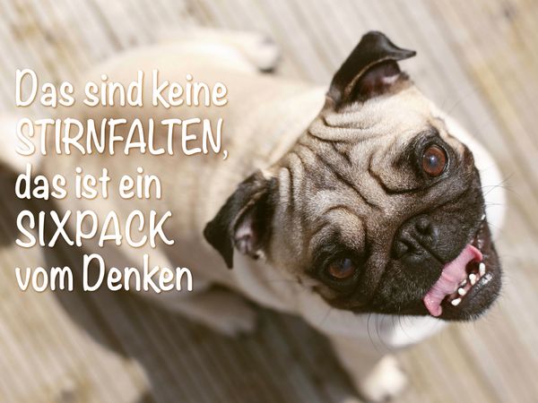 Produktbild: CALVENDO Puzzle Das sind keine Stirnfalten, das ist ein Sixpack vom Denken. | 1000 Teile Lege-Gr&ouml;&szlig;e 64x48cm Foto-Puzzle f&uuml;r gl&uuml;ckliche Stunden