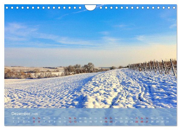 Produktbild: Wanderparadies S&uuml;dpfalz (Wandkalender 2026 DIN A4 quer), CALVENDO Monatskalender