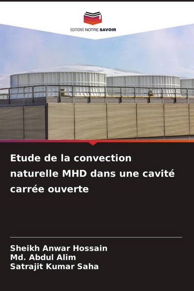 Produktbild: Etude de la convection naturelle MHD dans une cavit&eacute; carr&eacute;e ouverte