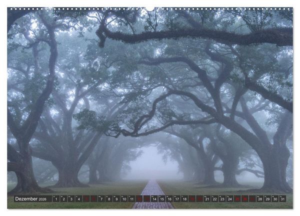Produktbild: Natur Paradies Mississippi Delta (hochwertiger Premium Wandkalender 2026 DIN A2 quer), Kunstdruck in Hochglanz