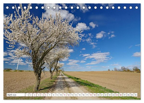 Produktbild: Wildes Wendland (Tischkalender 2026 DIN A5 quer), CALVENDO Monatskalender