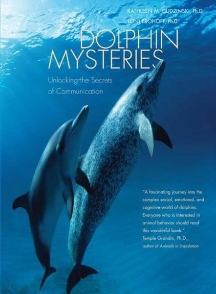 Produktbild: Dudzinski, K: Dolphin Mysteries - Unlocking the Secrets of C