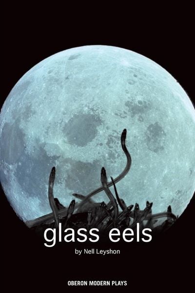 Produktbild: Glass Eels