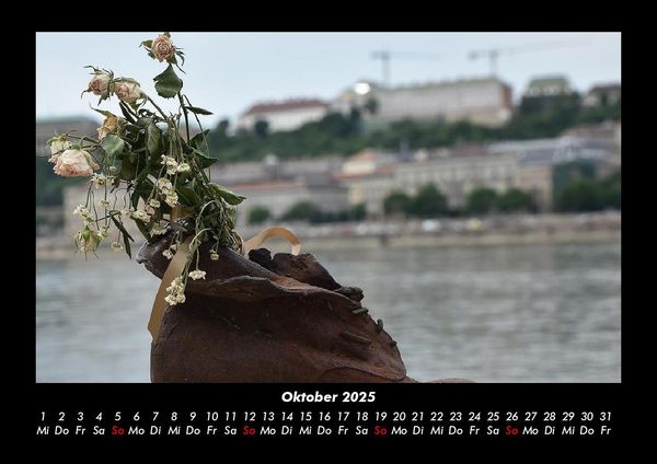 Produktbild: Blumenkalender 2025 Fotokalender DIN A3