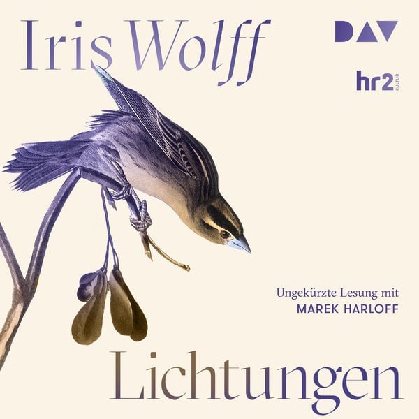 Produktbild: Lichtungen
