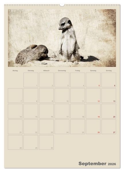 Produktbild: Lustige Erdm&auml;nnchen (Wandkalender 2026 DIN A2 hoch), CALVENDO Monatskalender