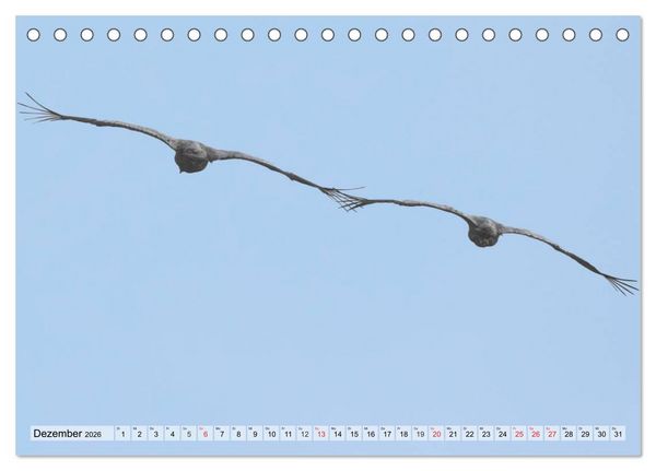 Produktbild: Kraniche auf dem Weg nach S&uuml;den (Tischkalender 2026 DIN A5 quer), CALVENDO Monatskalender