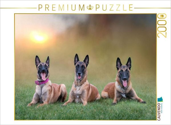 CALVENDO Puzzle Ein Motiv aus dem Kalender Traumhund Malinois | 2000 Teile Lege-Größe 90x67cm Foto-Puzzle für glückliche Stunden